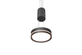 Trio lighting hanglamp Franklin led, antraciet met switch dimmer