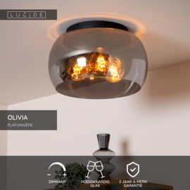 Lucide OLIVIA - Plafonnière - Ø 40 cm - 3xE27 - Fumé