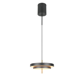 Trio lighting hanglamp Keaton led, zwart 40 cm