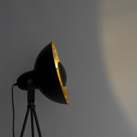 Vloerlamp Magnax Eco , zwart - goud