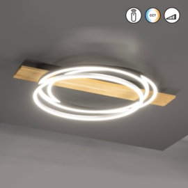 Fischer & Honsel plafondlamp Marit led, mat zwart incl. afstandsbediening