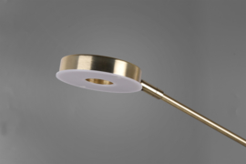 Trio lighting vloerlamp Barrie led, 2-lichts mat messing