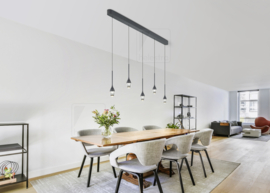 Helestra hanglamp Endo led 5-lichts, mat zwart