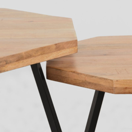 Label 51 Salontafel Figure, set rough mangohout