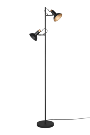 Trio lighting vloerlamp Roxie, zwart met goud