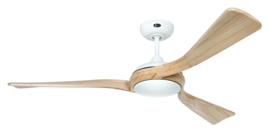 Casafan plafond ventilator Eco Interior WE-NT
