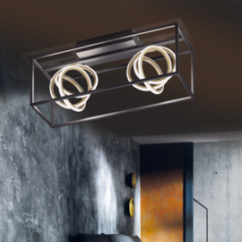 Fischer & Honsel plafondlamp Gisi led, 2-lichts