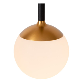 Lucide  CALINA - Hanglamp - Ø 41,9 cm - LED Dimb. - CCT - 5x8,4W 2200K zwart/3300K