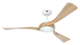 Casafan plafond ventilator Eco Interior WE-NT