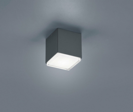 Helestra plafondlamp Isy led, graphit  IP54