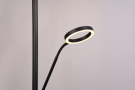 Trio lighting vloerlamp Willis led, 2-lichts mat zwart