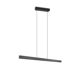 Trio lighting hanglamp Donegal led, zwart