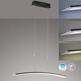 Fischer&honsel hanglamp Metis TW led, mat zwart incl. pushdimmer