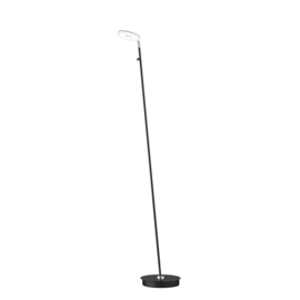 Fischer & Honsel vloerlamp Dent led, 1-delig zwart