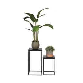 Label51 Set Plantenzuilen Vintage, zwart mangohout
