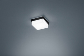 Helestra plafondlamp Cosi led, vierkant mat zwart en gesatineerd glas IP30