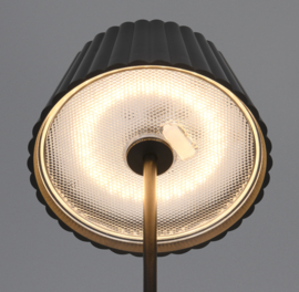 Trio lighting vloerlamp Suarez led, zwart