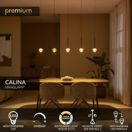 LucideLucide SANTIAGO - Hanglamp - LED Dimb. - CCT - 5x10W 2700K/4000K