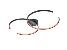 Trio lighting plafondlamp Citizen led, mat zwart