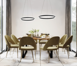 Fischer&honsel hanglamp Sirko led, zwart incl afstandsbediening