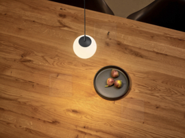 Helestra  hanglamp Bono led 1-lichts, mat zwart