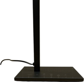 Freelight vloerlamp Picchio led, 1-delig zwart