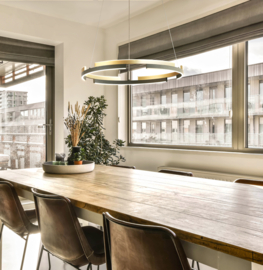 Fischer&Honsel  hanglamp Circly led, zwart-goud