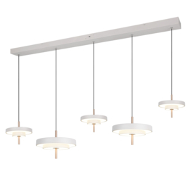 Trio lighting hanglamp Keaton led, 5-lichts warm grijs