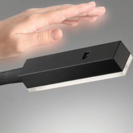 Fischer & Honsel wandlamp Flex Raik led, mat zwart