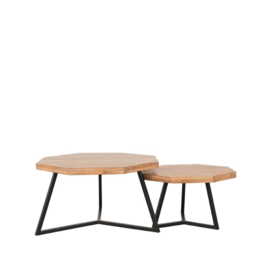 Label 51 Salontafel Figure, set rough mangohout