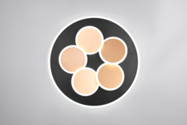 Trio lighting plafondlamp Mandala led, zwart-goud incl. switch dimmer