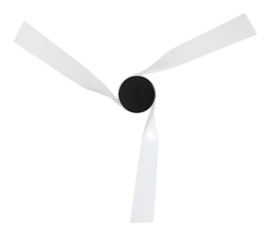 Casafan plafond ventilator  Eco Revolution MNS-MWE incl. afstandsbediening