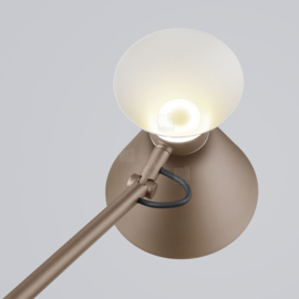 Helestra vloerlamp Luk led, caffee. goud-aluminium + gematteerd acryllas