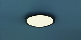 Trio lighting plafondlamp Phoenix led, zwart 30 cm