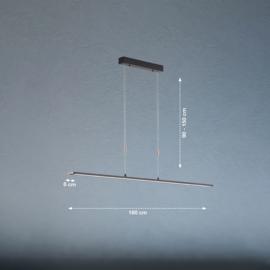 Fischer&honsel hanglamp Metz TW led, zwart incl. pushdimmer 160 cm