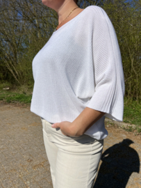Basis truitje oversized