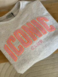 trui met letters grijs "Iconic