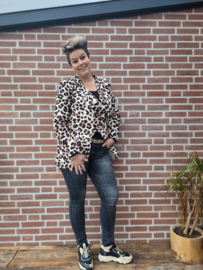 Blazer Biba "tijger"