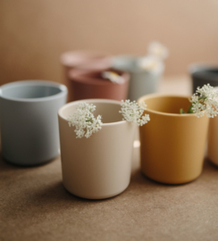 Sillicone Cups (2pcs) Woodchuck