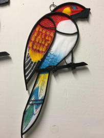 Papegaaien muurdecoratie