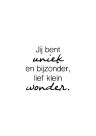 Lief klein wonder