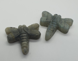 Libelle Labradoriet