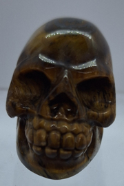 Schedel Tijgeroog