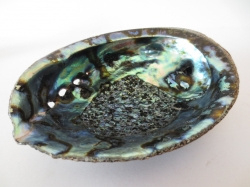 Abalone Schelp Parelmoer Set