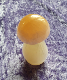 Seleniet - Satijnspaat Paddenstoel ca. 8 cm