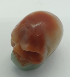 Schedel Amazoniet 1