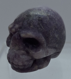 Schedel Lepidoliet