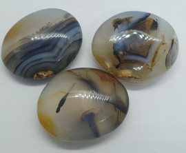 Agaat Dendriet trommelsteen
