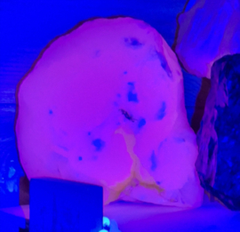 Blacklight - UV lampje