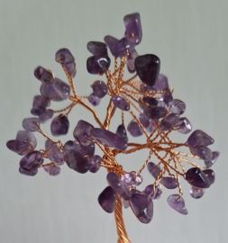 Amethyst boom op fluoriet voet
